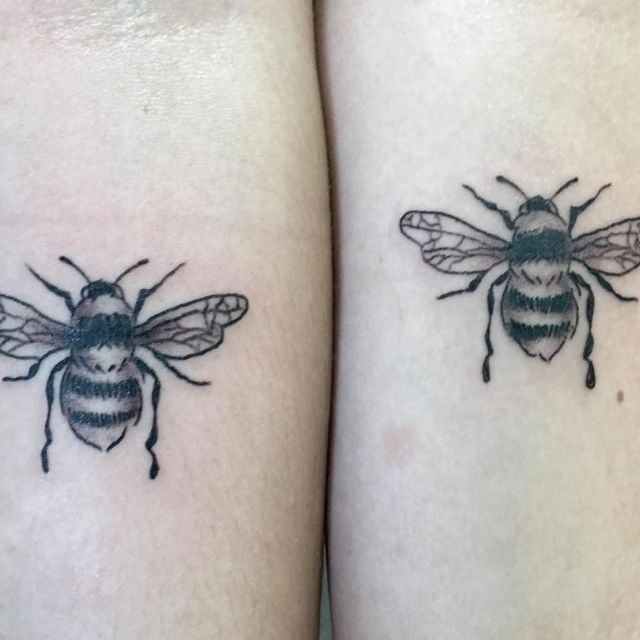 bee, black and grey